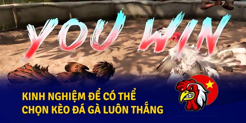 Đá gà Philippines trực tiếp hấp dẫn tại nhà cái BET88