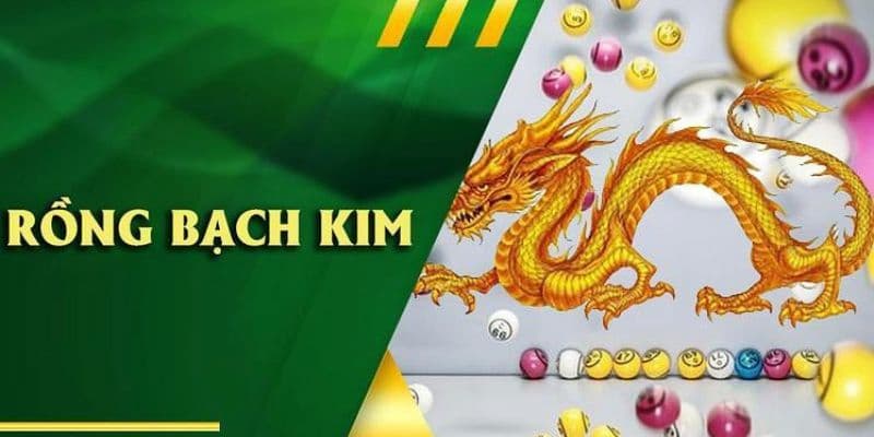 Hướng dẫn cách tạo dàn đề Rồng Bạch Kim dành cho tân thủ tại Bet88