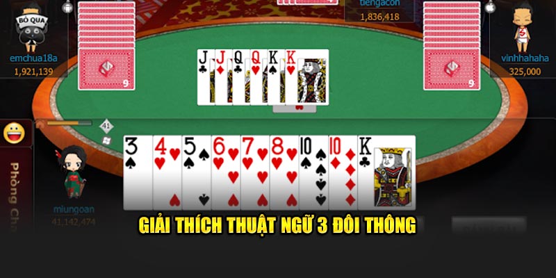 Giải thích thuật ngữ 3 đôi thông nghĩa là gì